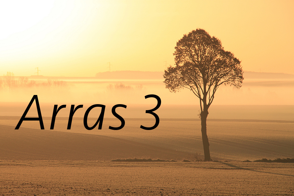 Arras 3