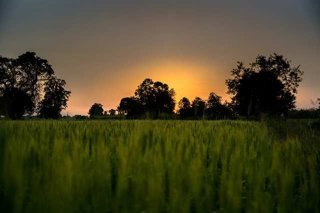 sunset